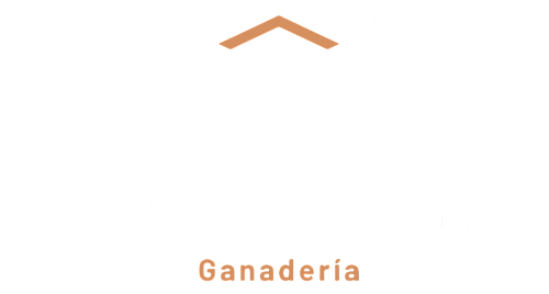 Logotipo Jesus Navarro White
